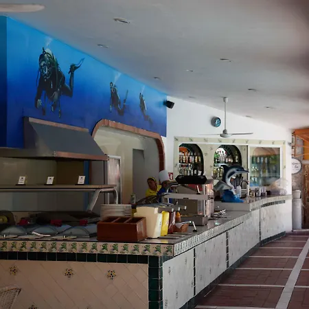 Cozumel Hotel & Resort-2